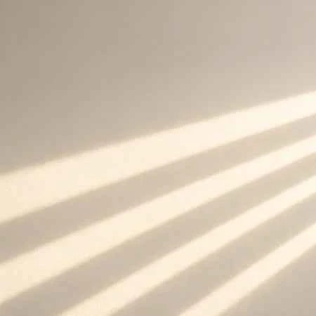 Soft warm light casting diagonal shadow stripes across a light beige wall.