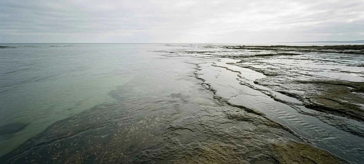 A wide coastal landscape with calm water, exposed tidal flats, and an overcast sky.