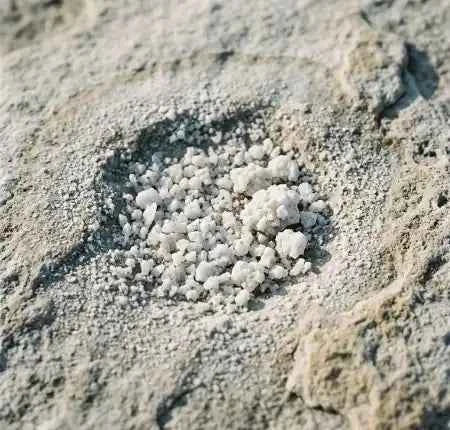 Earth Marine Water mineral source