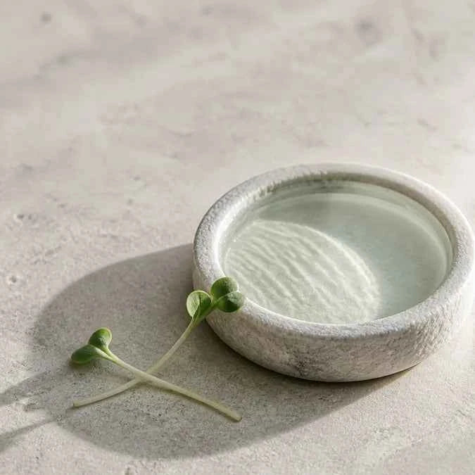 A small round stone or concrete planter bowl filled with pale green water, placed on a light beige textured surface with two small green sprouts beside it.